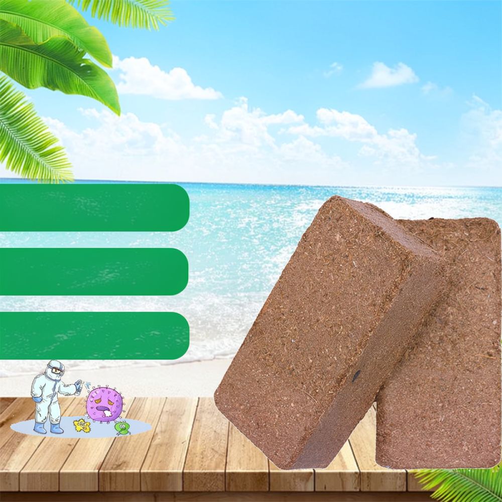 Substrate Coconut Fiber - 고급 건조 코코넛 코이어 블록, 화분