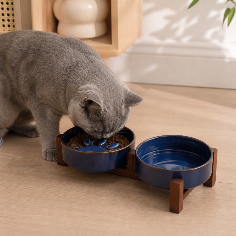 2027년 일본식 도자기 소재의 반려동물용 밥그릇, 중 - Royal Canin Food Medium 리뷰 및 가격