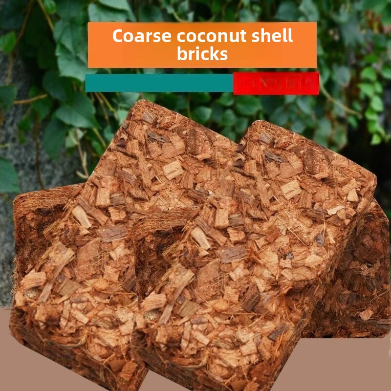 유기 비료가 함유된 코코넛 코이어 블록 500g, 난초 - Substrate Coconut Fiber 리뷰 및 가격