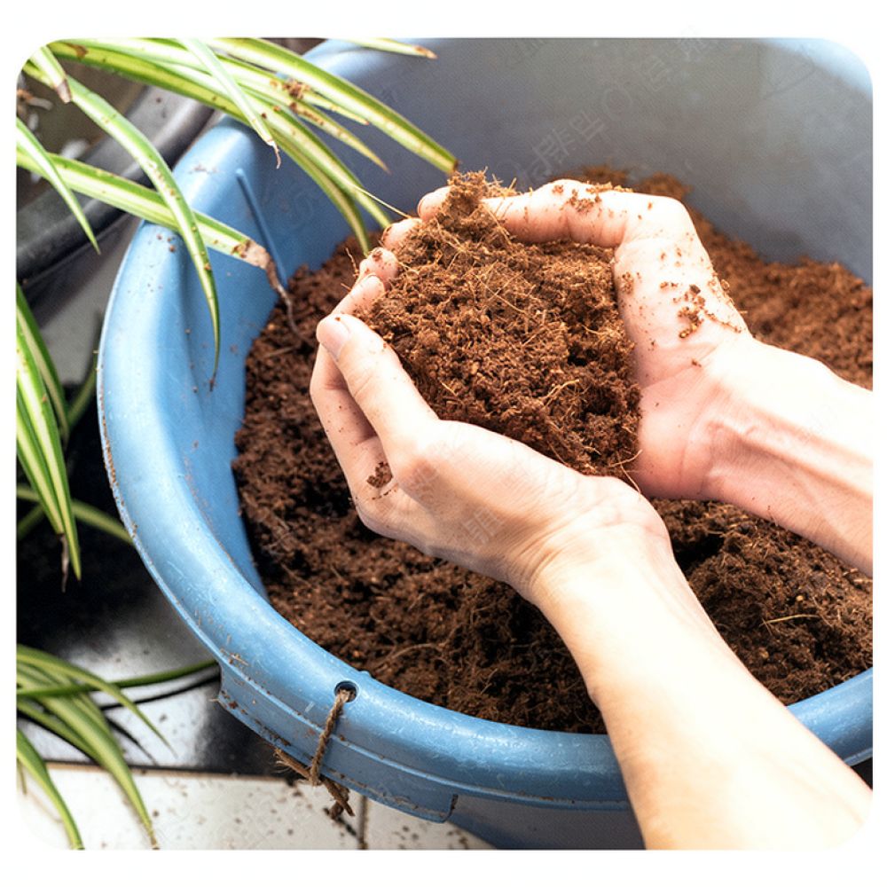 흡수력이 뛰어난 코코넛 코이어 배양토 블록, 유기농 토 - Substrate Coconut Fiber 리뷰 및 가격