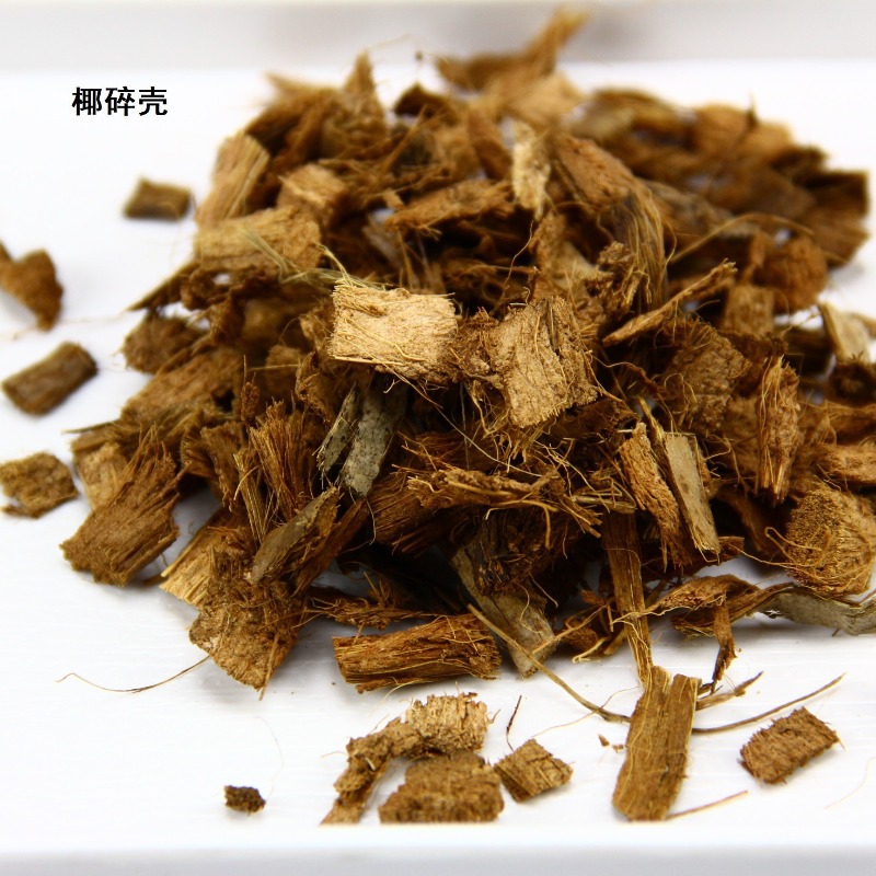 코코넛 토양 블록, 파충류 사육용 배지, 거북이, 도마 - Substrate Coconut Fiber 리뷰 및 가격