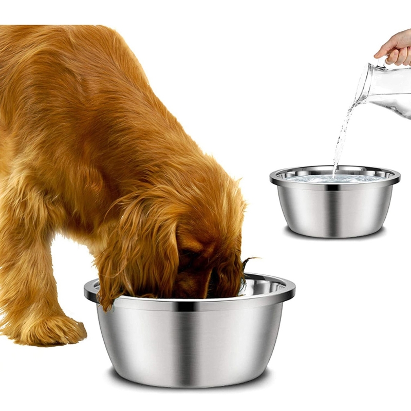 스테인레스 스틸 개 사료통 20cm 24cm 28cm  - Royal Canin Food Medium 리뷰 및 가격